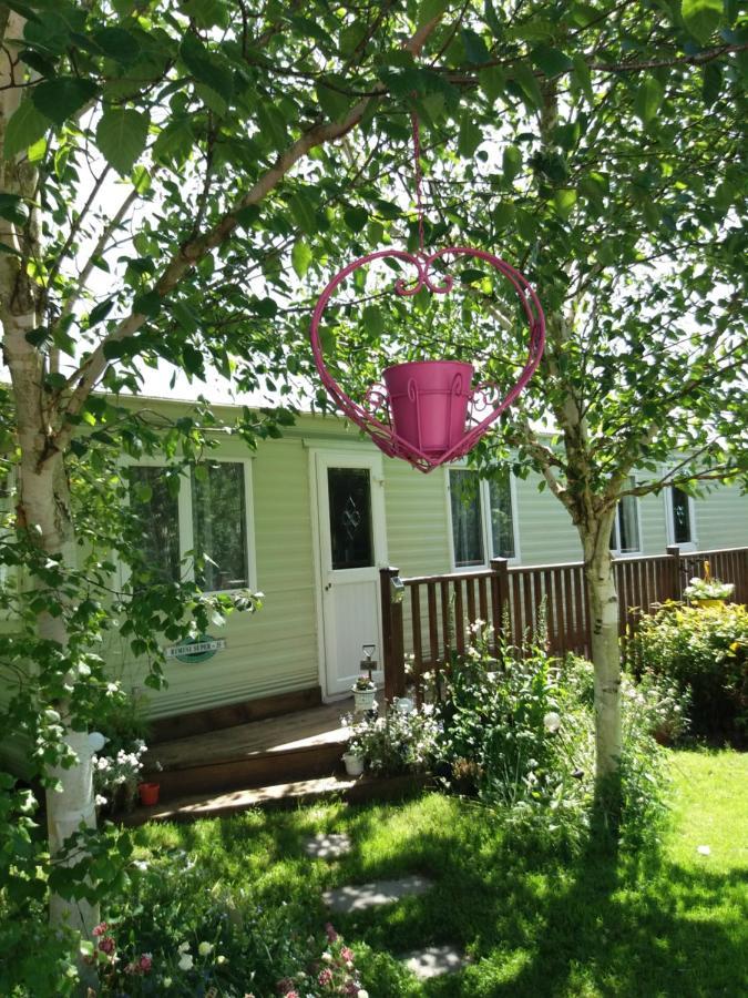 Hills View Accommadation Borrisoleigh 외부 사진